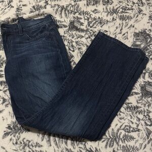Lucky Brand Navy Blue Denim Jeans